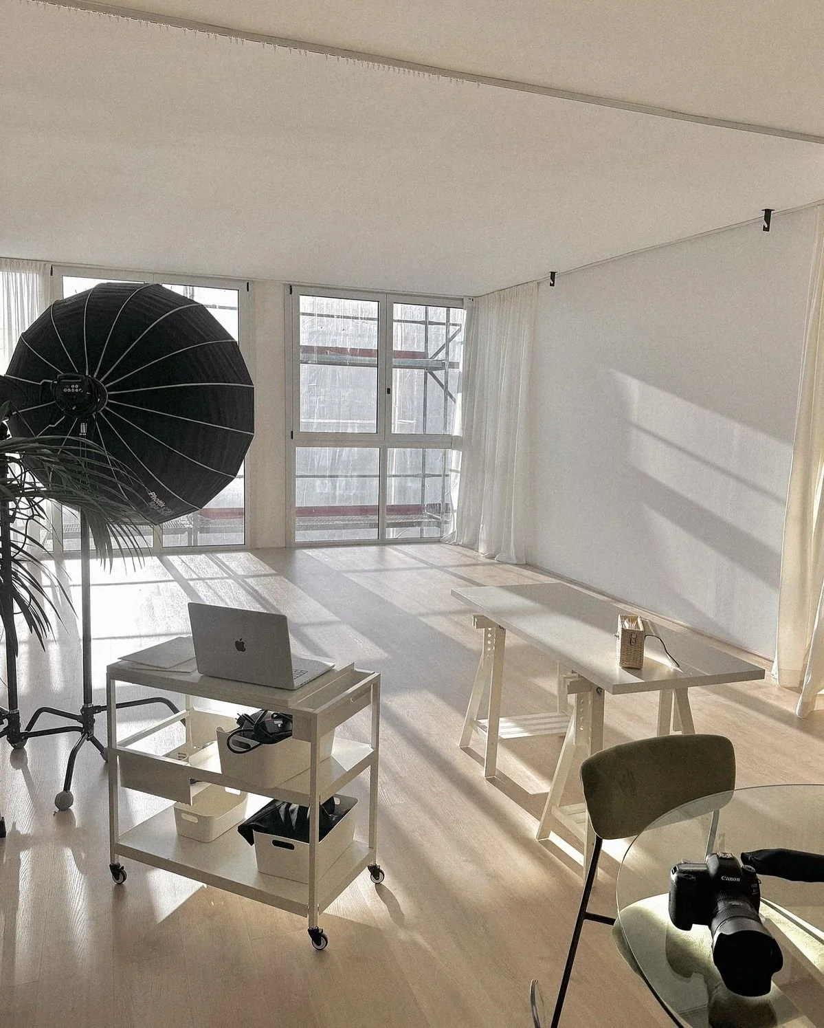 Sunlit Canyon Icon creative studio